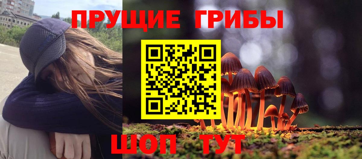 Дмитров  Галлюциногенные грибы Psilocybine cubensis  Вход с VPN  Галлюциногенные грибы GOLDEN TEACHER 